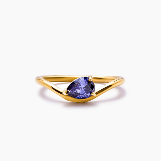 The Promise Birthstone Ring | 18K Gold-Plated Stainless Steel | Sideways Pear-Cut Stone